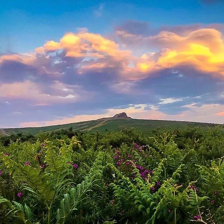 Haytor Court, Haytor, Dartmoorアパートメント エクステリア 写真