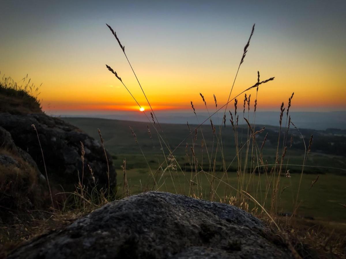 Haytor Court, Haytor, Dartmoorアパートメント エクステリア 写真