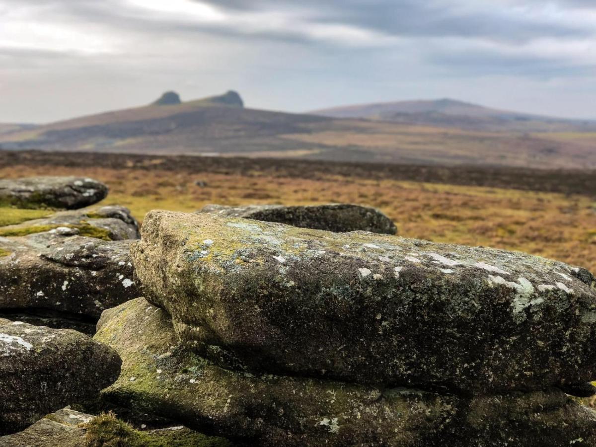Haytor Court, Haytor, Dartmoorアパートメント エクステリア 写真