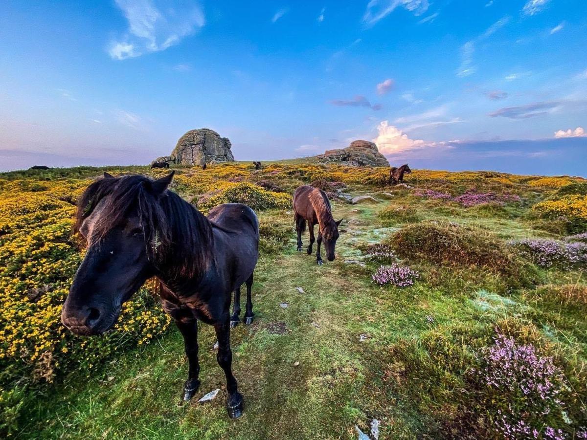 Haytor Court, Haytor, Dartmoorアパートメント エクステリア 写真