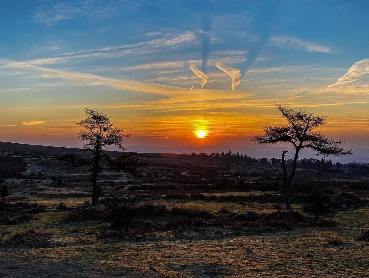 Haytor Court, Haytor, Dartmoorアパートメント エクステリア 写真
