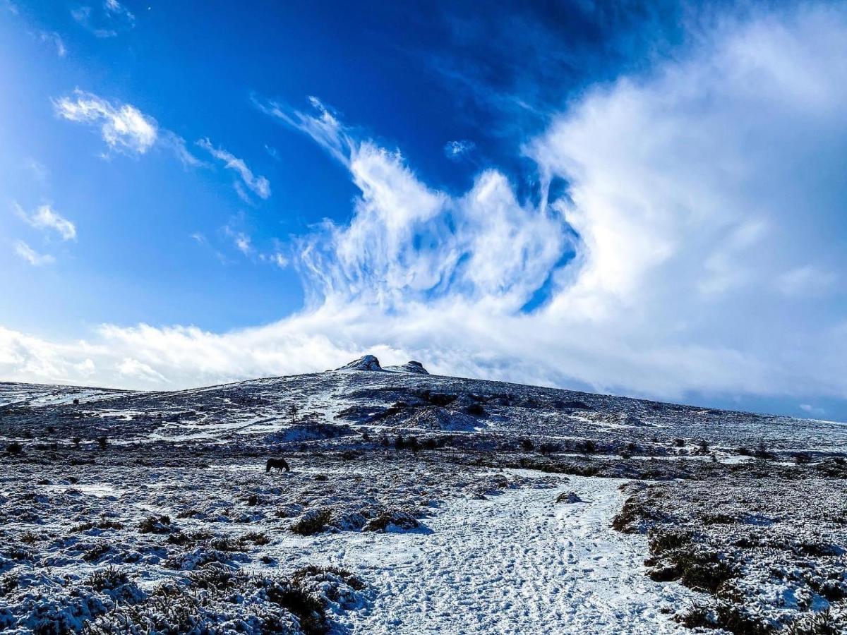 Haytor Court, Haytor, Dartmoorアパートメント エクステリア 写真